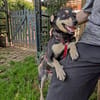 ❤Lusi- kleine Seele sucht ihr Happy End