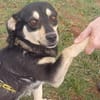 ❤Lusi- kleine Seele sucht ihr Happy End