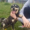 ❤Lusi- kleine Seele sucht ihr Happy End