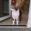 MOLLY PAB28755
