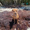 Roxy la coquine