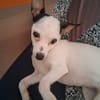 Betsy la douce