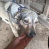 Rinah