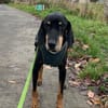 Gina sucht ihre für immer Familie!