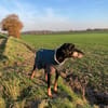 Gina sucht ihre für immer Familie!