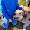 Charlie sucht seinen Menschen