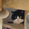 Schüchterne Olena sucht ein Zuhause