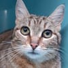 Columbia