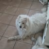 Athos