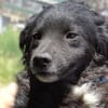 Kleine MILI sucht Körbchen