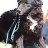 Kleine MILI sucht Körbchen