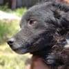 Kleine MILI sucht Körbchen