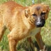CONNIE 2 sucht Familie