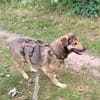 AYLA * ruhige, schüchterne Sie