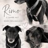 menschenbezogener Rimo auf PS 86637