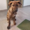Chiara sucht aktive Menschen