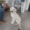 Bacio möchte Ihnen Freude bereiten