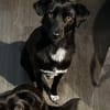 JANNA * liebenswerter Hauself
