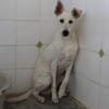 Ken sucht sein Zuhause
