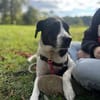 SAHIRA * sensibel und sanft