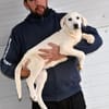 Canada möchte adoptiert werden