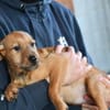 Brandy wünscht sich eigene Familie