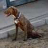 Lola sucht sportliche Menschen