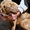 Lola sucht sportliche Menschen