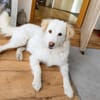 April sucht passendes Zuhause