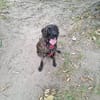 Romy