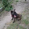 Romy
