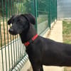 ARWEN (réservée)