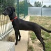 ARWEN (réservée)