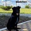 Berti sucht ihr Für-immer-Zuhause