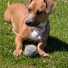 Mira -freundlich und lieb-