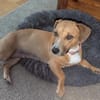 Mira -freundlich und lieb-
