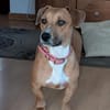 Mira -freundlich und lieb-