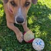 Mira -freundlich und lieb-