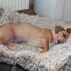 Mira -freundlich und lieb-