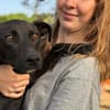 Angel ist ein Traum für jeden Hundebesit