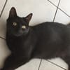 Nora sucht liebevolles Zuhause