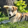 Zarte ♥Tina♥ wartet in 21465 Wentorf