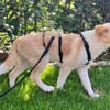 Zarte ♥Tina♥ wartet in 21465 Wentorf