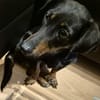 Candy° in 41472 Neuss
