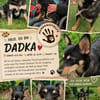 DADKA, Mix, geb. 07/2025