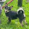 DADKA, Mix, geb. 07/2025