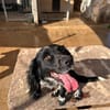Wundervolle Xena