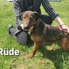 Unfassbar lieb und so hübsch...