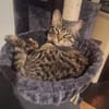 FENIX sucht dringend ein neues Zuhause