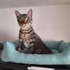 FENIX sucht dringend ein neues Zuhause